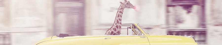 Leuke posters & Art Prints voor Sinterklaas