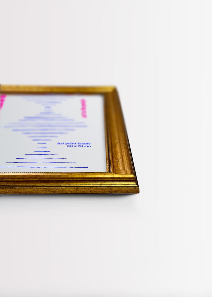 EU ROKOKO 50X70 IMG2