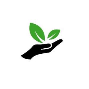 My green value