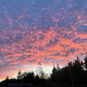 Emma Nyåker Eriksson