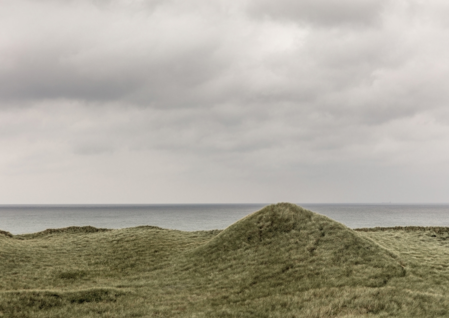 Gröna sanddyner i Danmark
