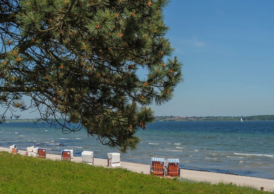 På stranden ved Østersøen