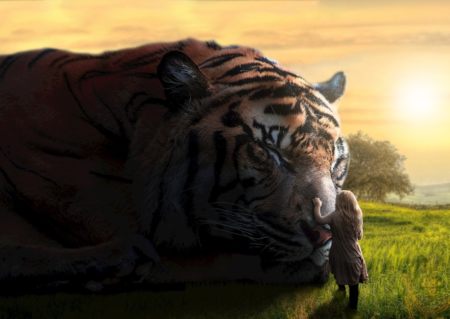 Malý vysněný BIG - Tygr