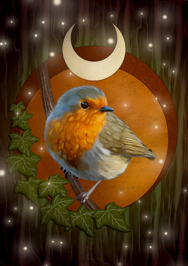 Magisches Rotkehlchen 