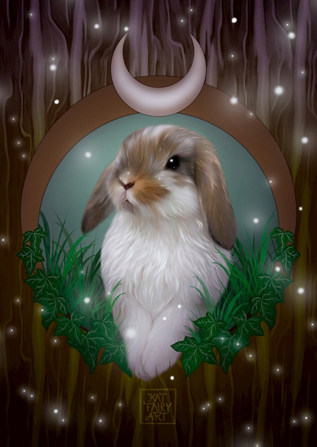 Magical Bunny
