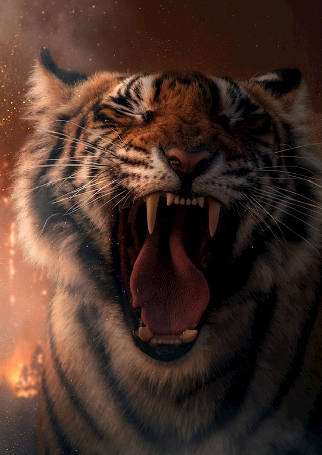 Volání o pomoc (tygři v ohrožení)