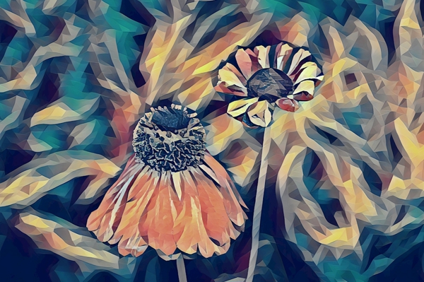 Poster: Deux fleurs - Michael Krook