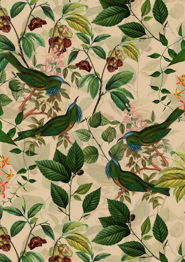 Tropikalny ogród ptaków