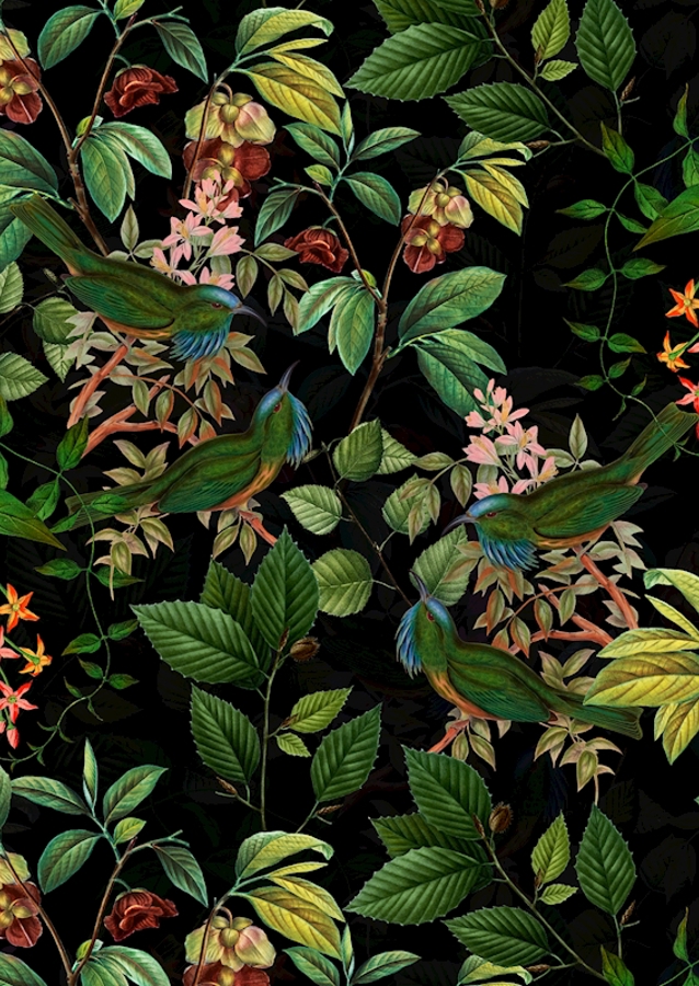 Tropikalny ptak nocny Dżungla