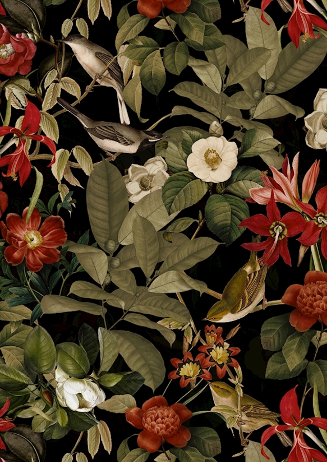 Půlnoční zahrada džungle