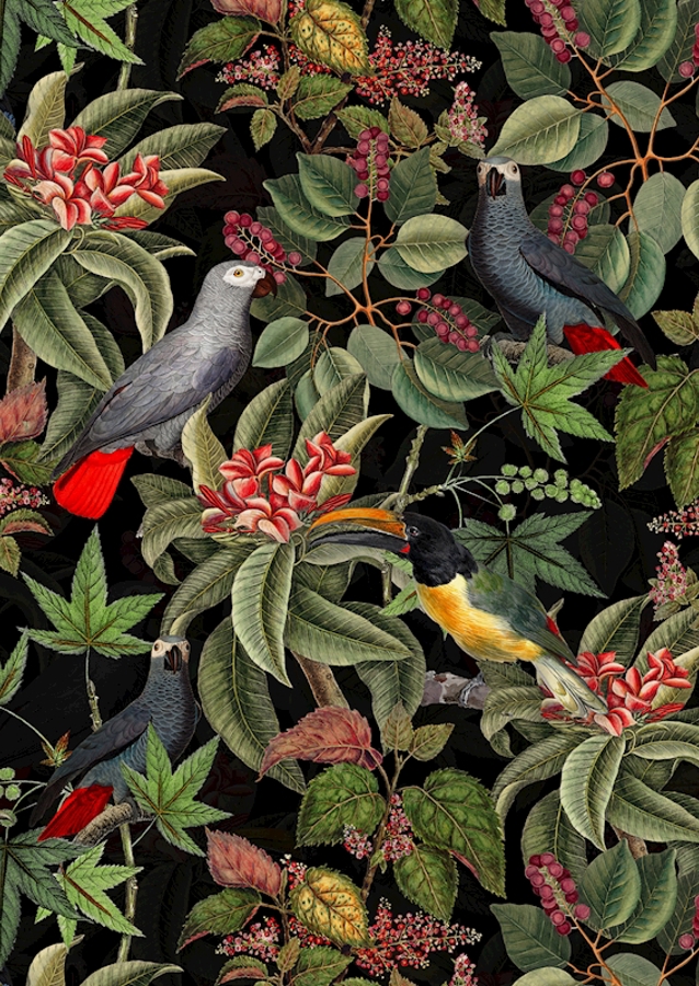 Ogród dżungli o północy 