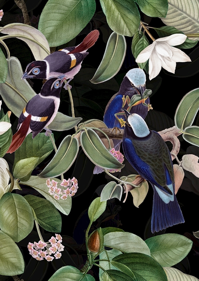 Tropical Night Birds Garden