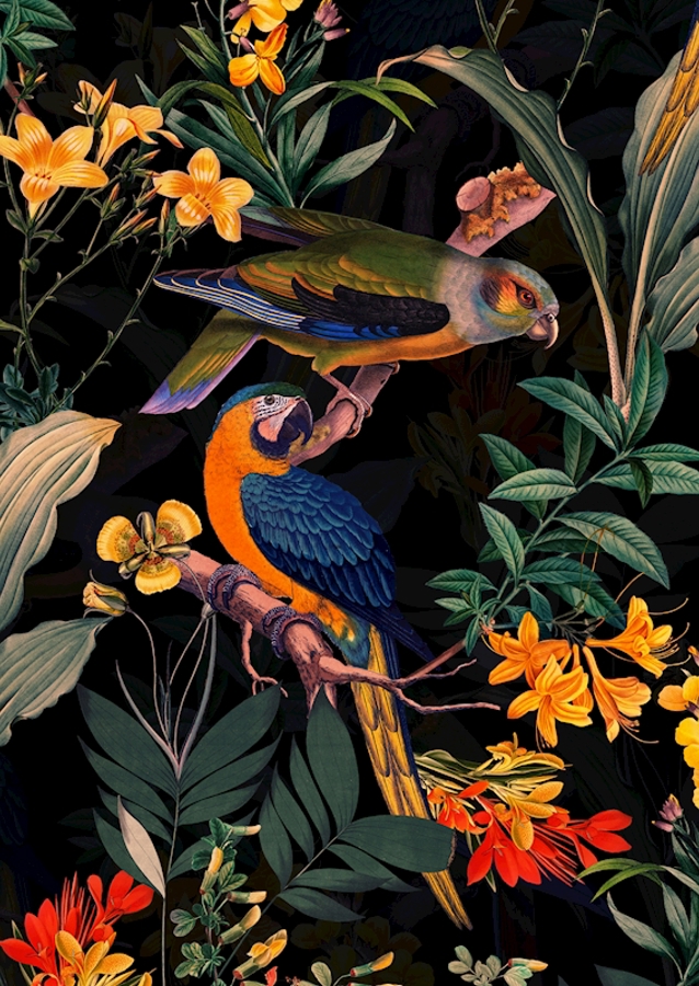 Ogród papug o północy