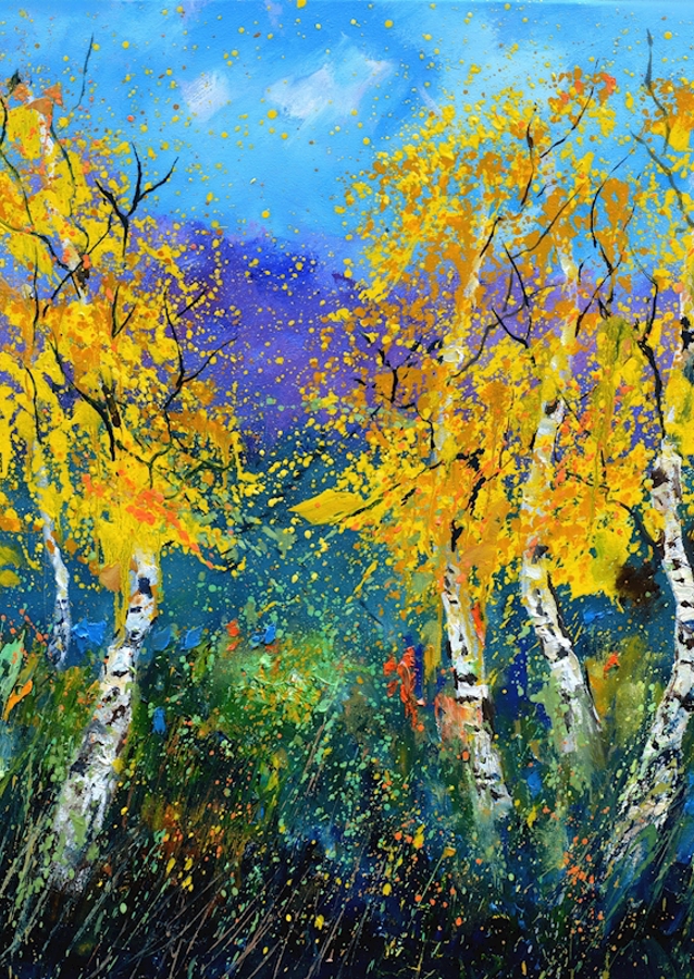 Aspen trees 