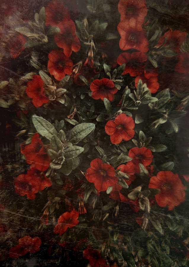 I slutningen af august