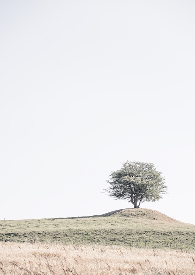 Egy magányos fa