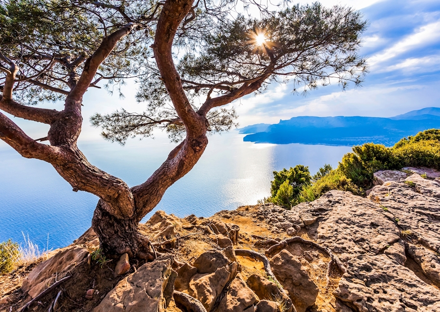 Corniche des Crêtes 