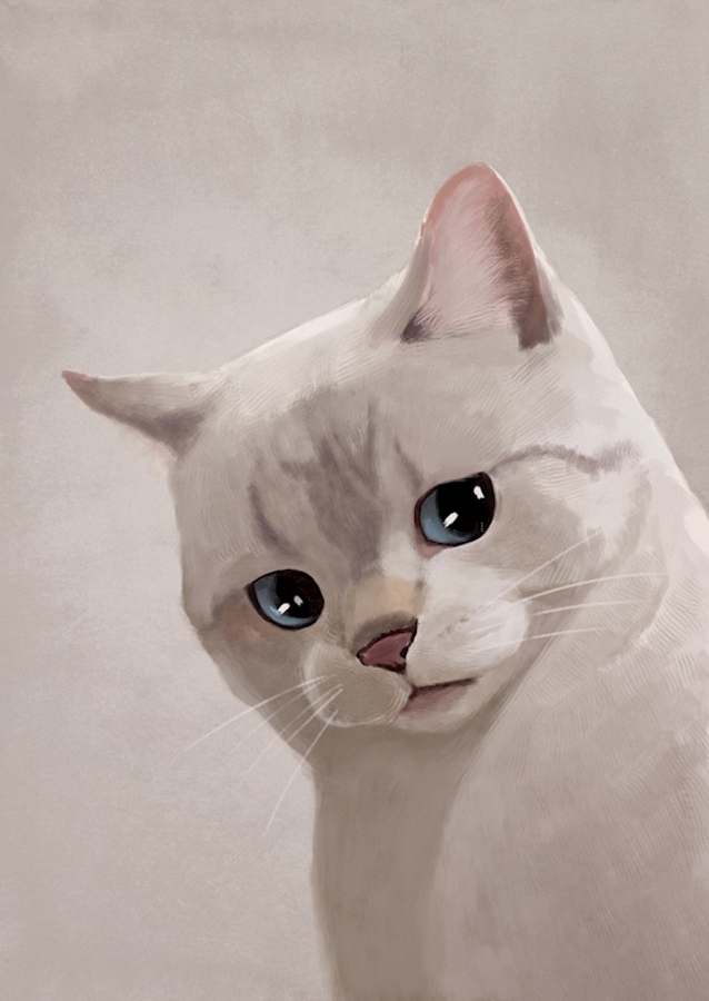 Expresivní kočka - Meme 2