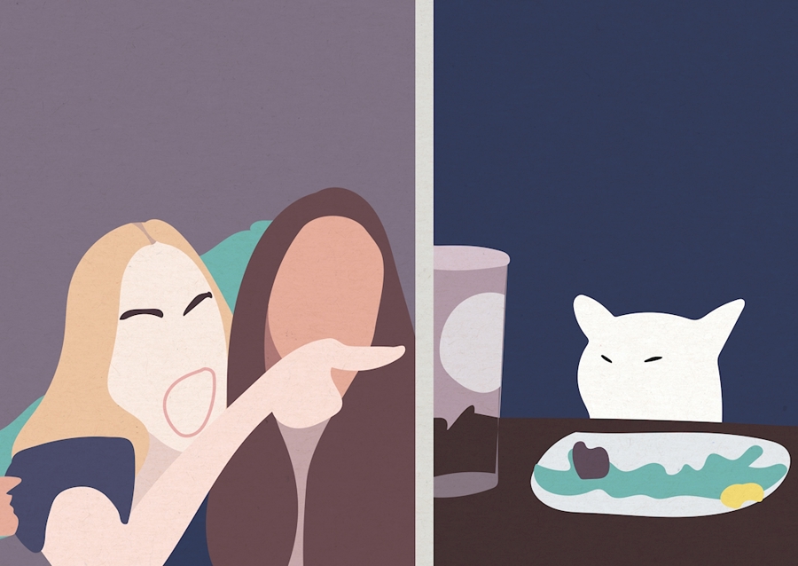 Taylor A Rozmazat Kočičí Meme