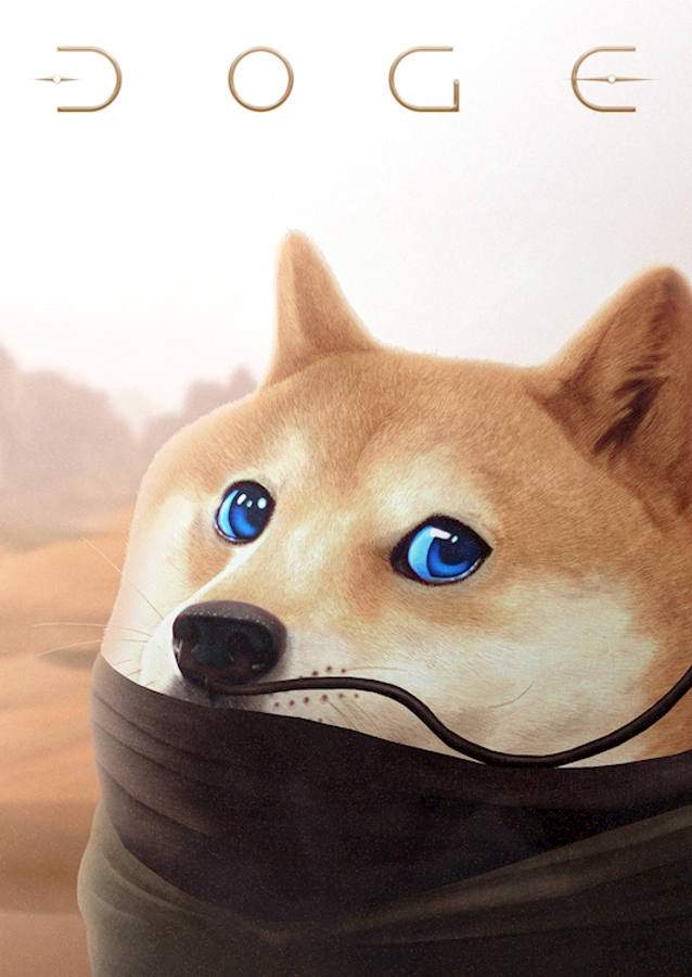 Spice Doge Meme