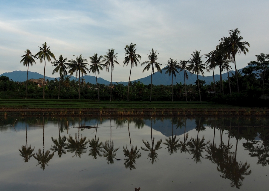 Reflection of Natural Beauty