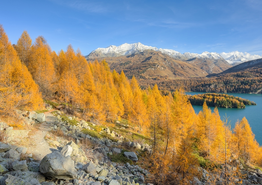 Goldener Herbst im Engadin