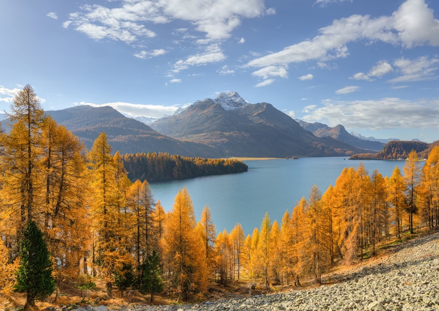 Herbst am Silsersee im Engadin