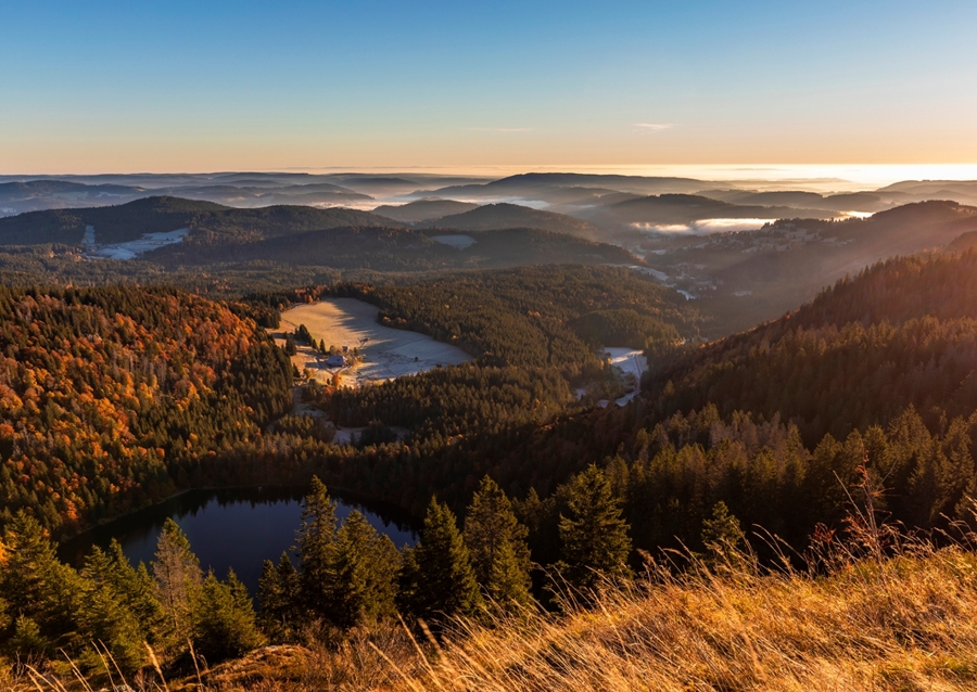 Feldberg in the Black Forest