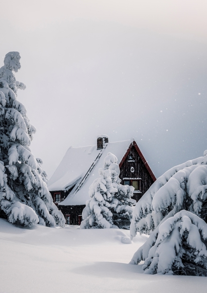 Poster: Winterromantik - Daniela Beyer