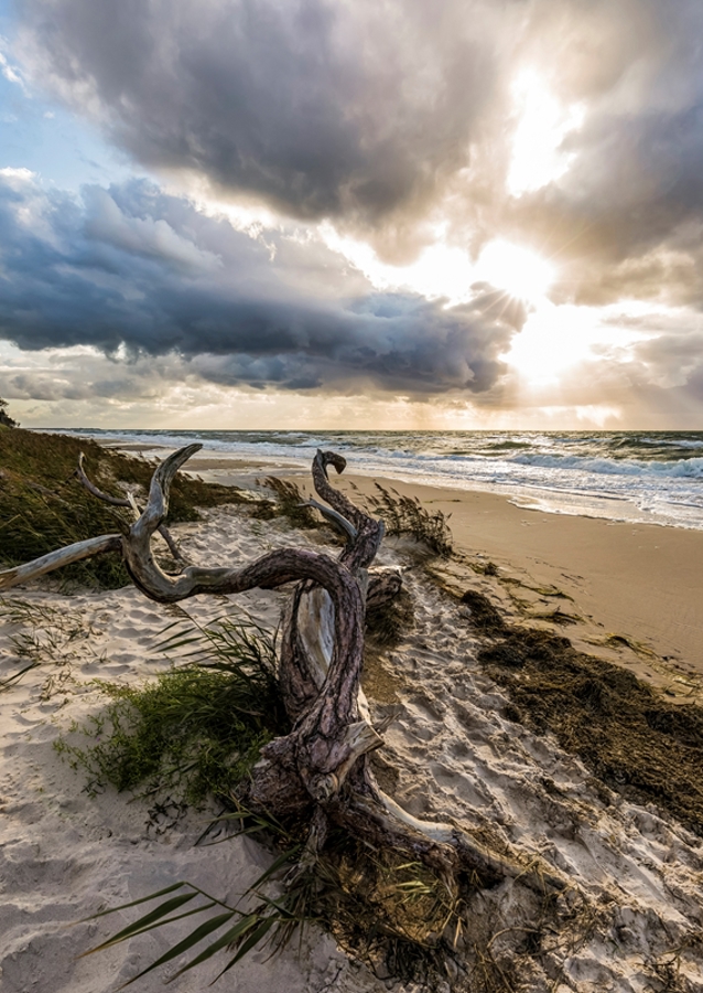 Darßer Weststrand - Østersjøen