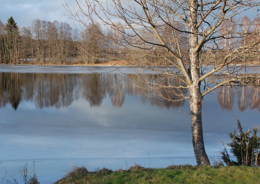 Místo na piknik Svartån 