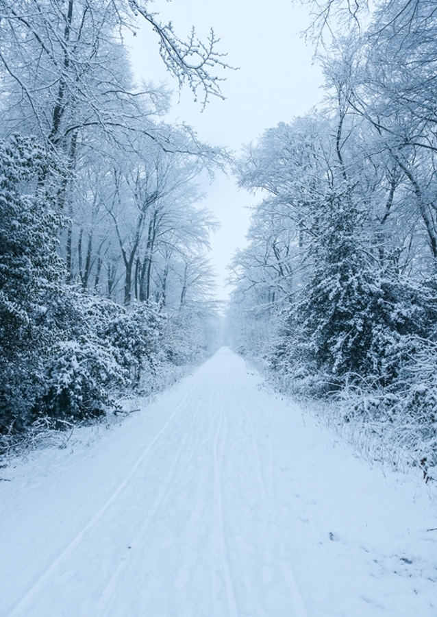Pathway through the snow