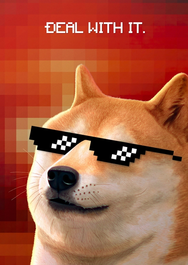 Deal With It - Doge Meme