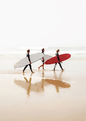 Poster: Triss i surf