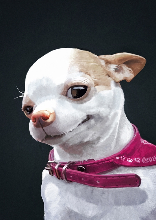 Meme del cane sorridente