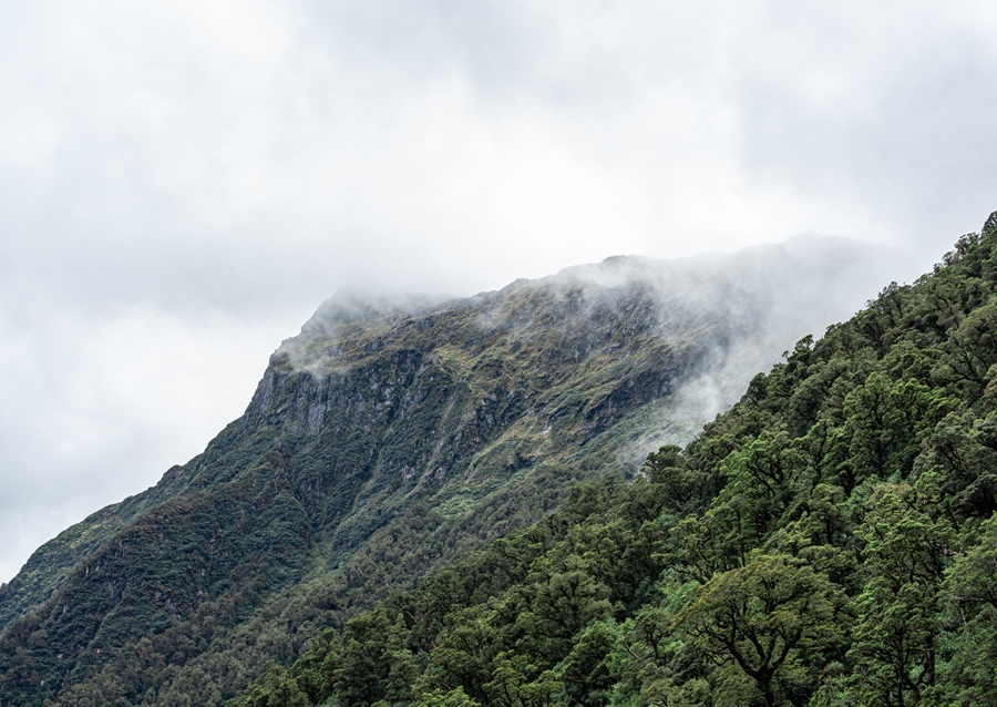 Tåge i Milford Sound