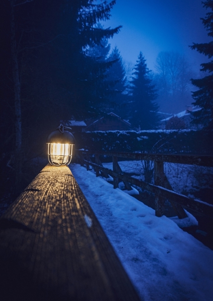 Poster: Brouillard dans la forêt  - Thomas Klar