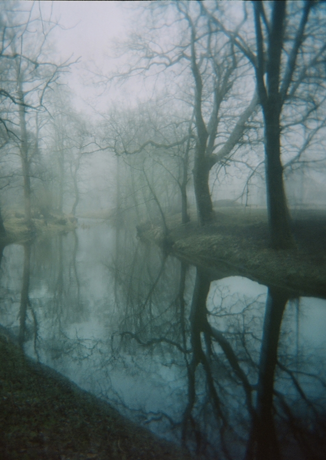 Durch den Nebel sehen