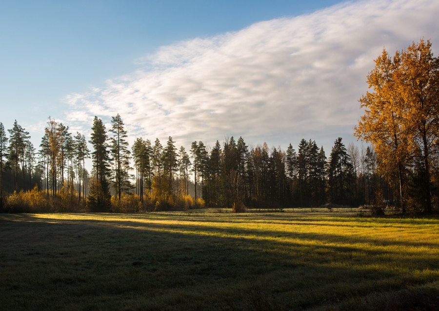 Természet