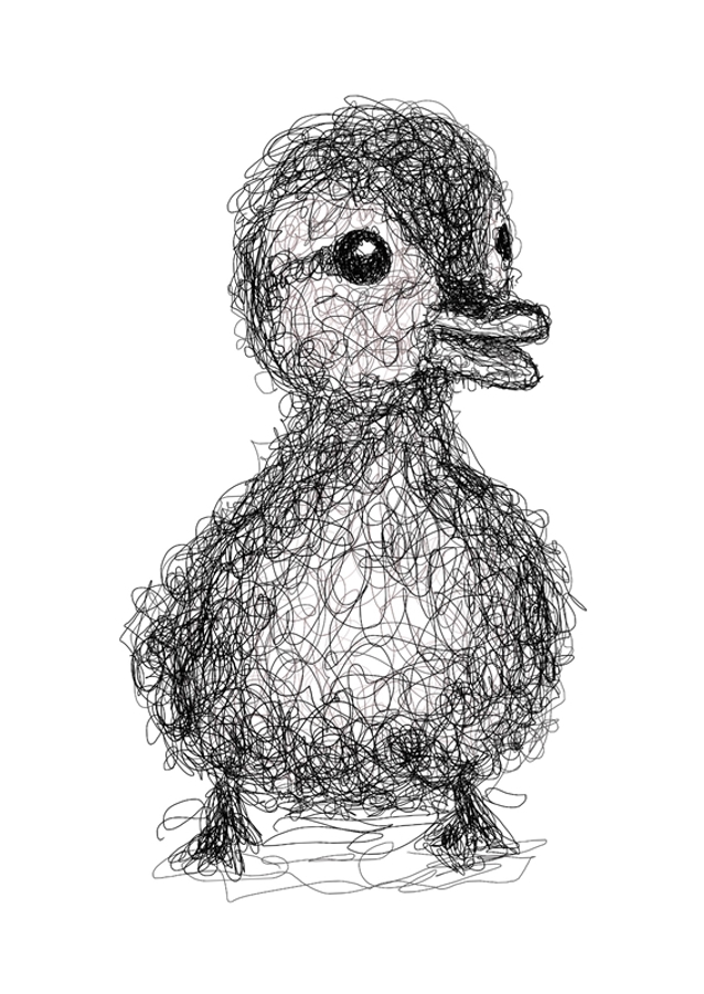 Anatroccolo scarabocchiato