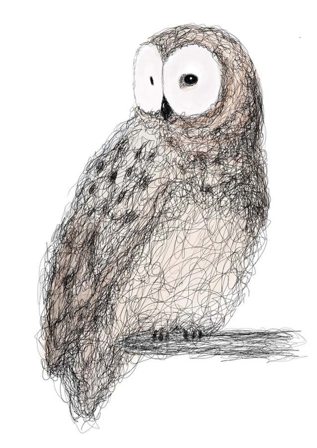 Hibou gribouillé