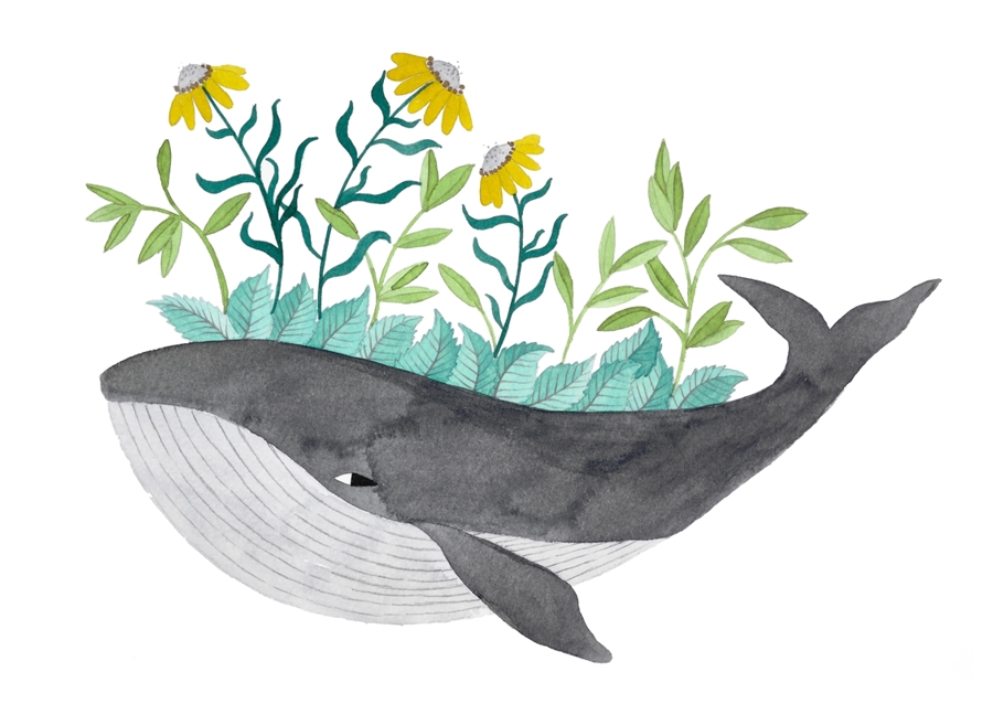 Baleine grise à fleurs