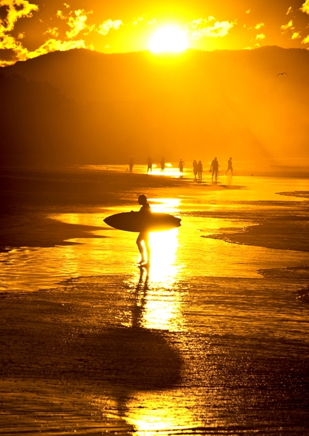 Sunset surfer