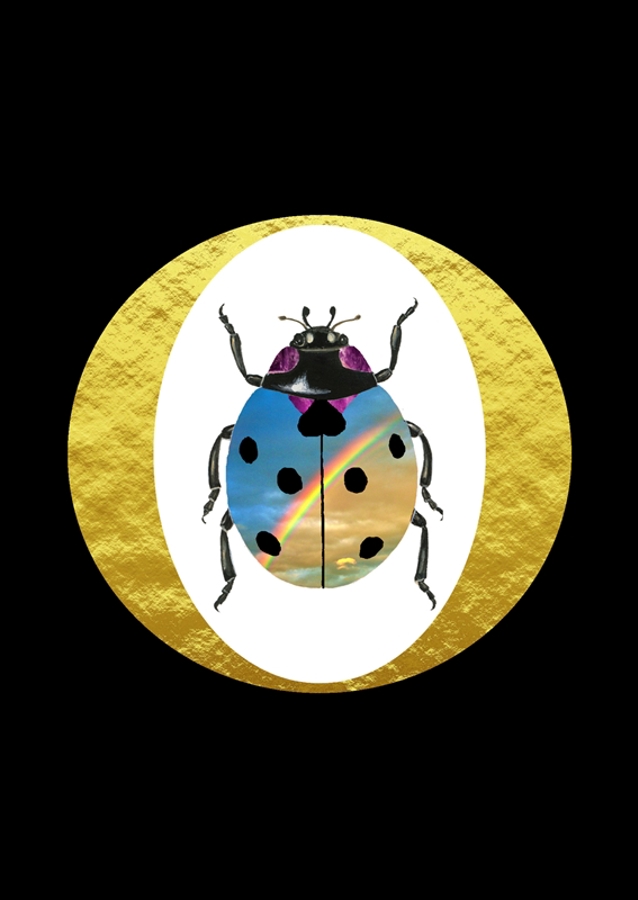 Ladybug