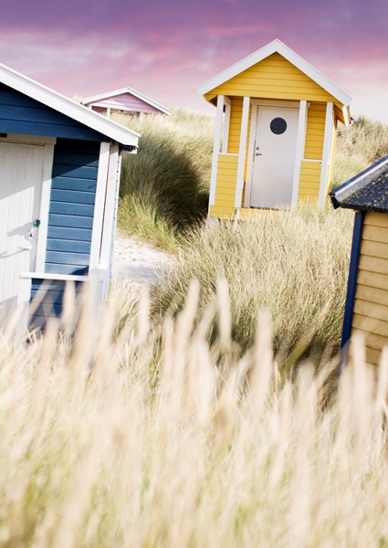 Poster: Tu cabina de baño - Kentaroo Tryman