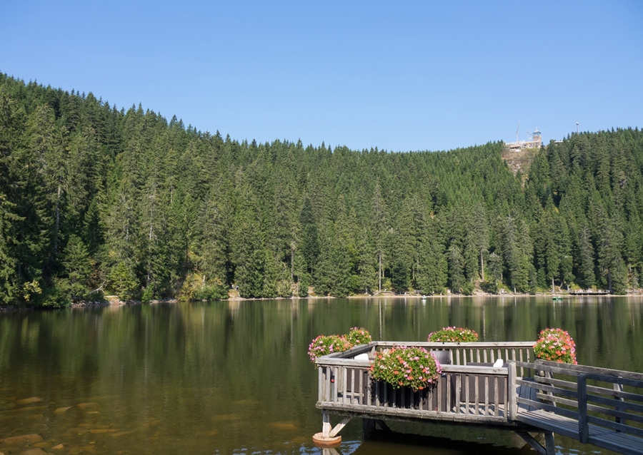Kleiner See im Schwarzwald