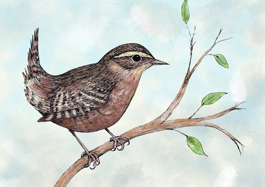 Farbige Tuschezeichnung von 