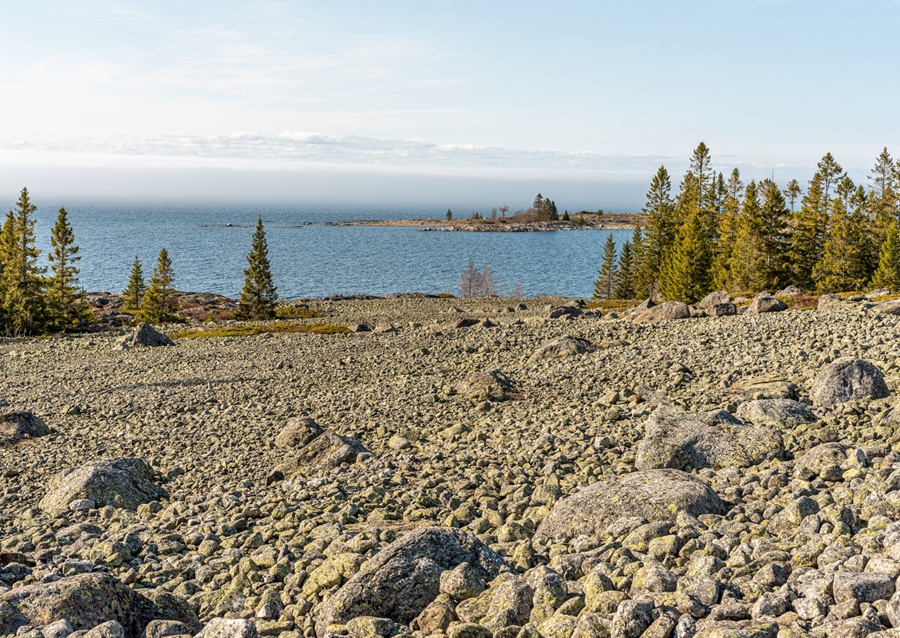 Campos de guijarros en Suecia