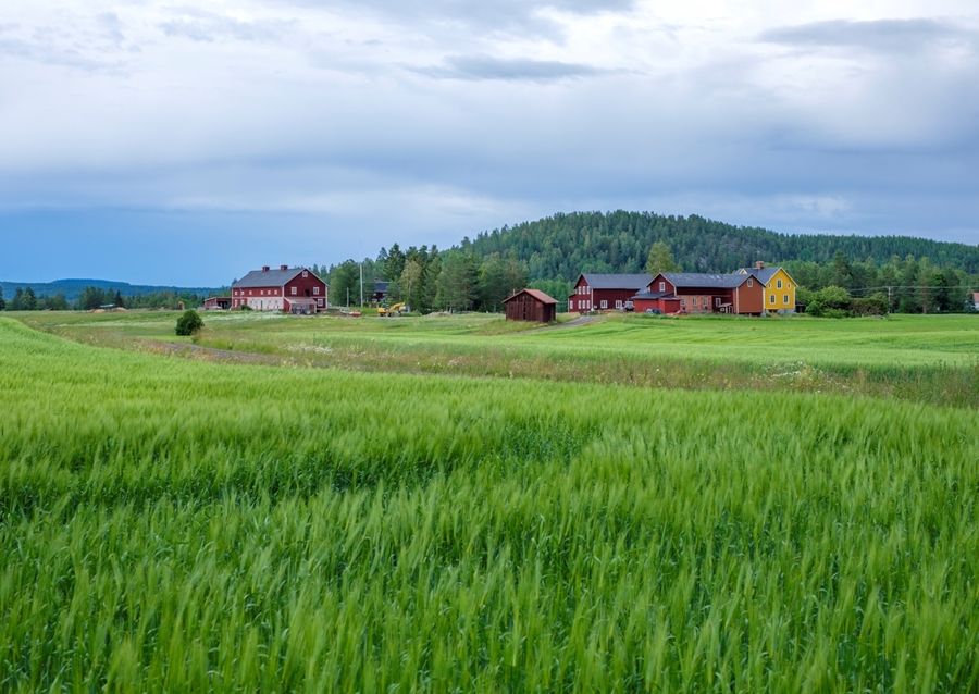 Swedish Countryside