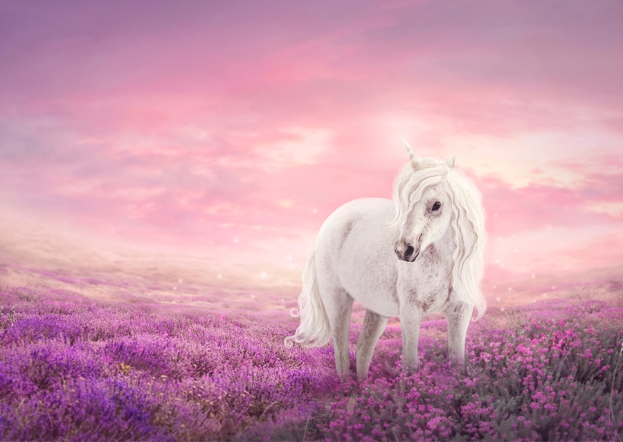 Bílý jednorožec